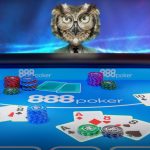 What Are the Services Offered by A Genuine Online Poker Site?